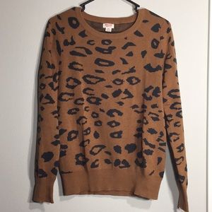 Cheetah print sweater